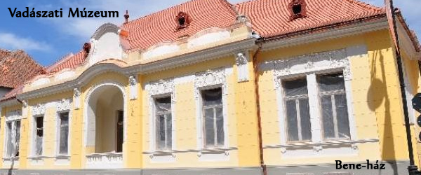 Bene H�z vad�sz m�zeum