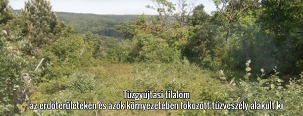 t�zgy�jt�si tilalom