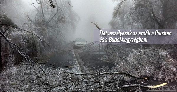 �letvesz�lyesek az erd�k a Pilisben �s a Budai-hegys�gben - TILOS az erd�l�togat�s!