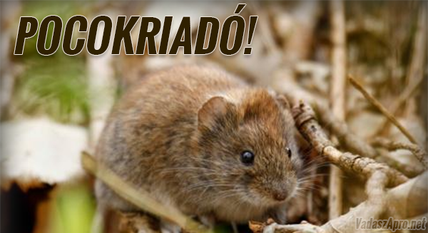 Pocokriad� van Magyarorsz�gon
