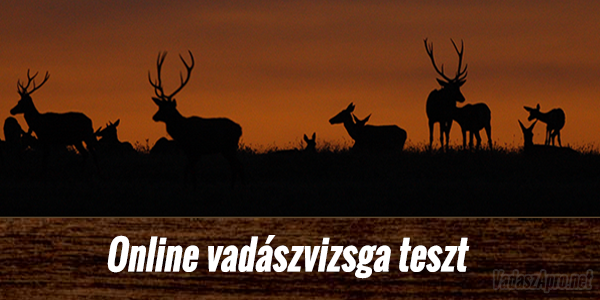 Teszteld a tud�sod!