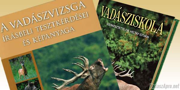 A vad�szvizsga rendeletr�l egyeztetett az Oktat�si Bizotts�g