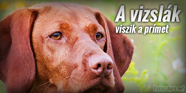 A vad�szebek tart�sa egyre n�pszer�bb