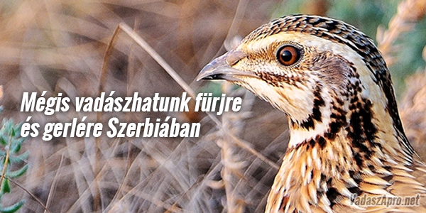 Gy�z�tt a j�zan �sz!