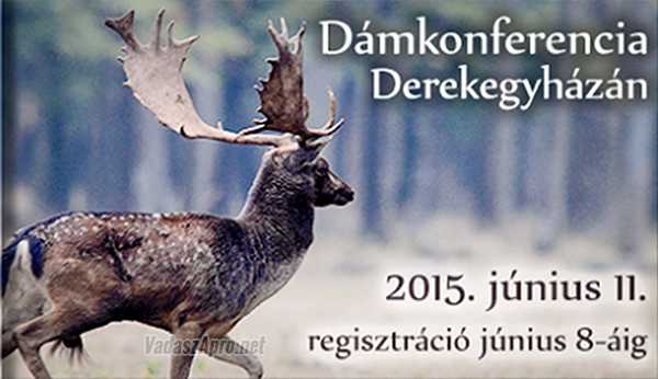 Dmkonferencia Derekegyhzn – 2015. jnius 11.