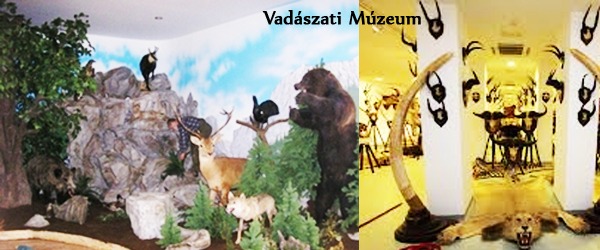 vad�szm�zeum