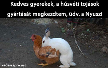 vicces h�sv�ti k�p