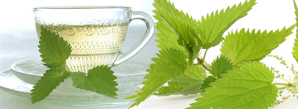 csal�n tea