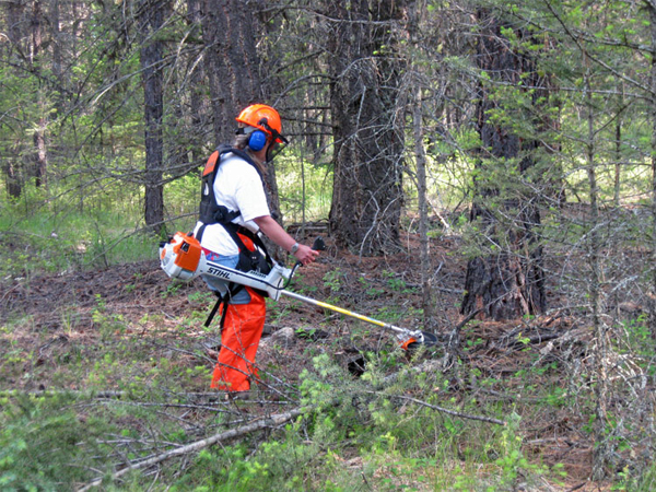 N�gysz�z embert foglalkoztat az �szakerd� Zrt.