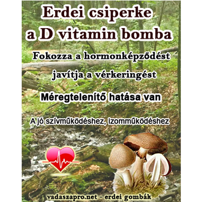 erdei csiperke