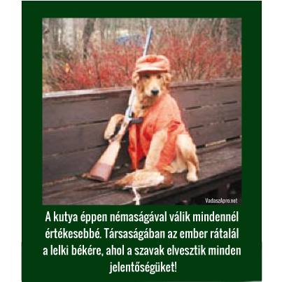 kutyas viccek
