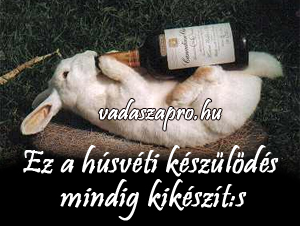nyuszika vicc