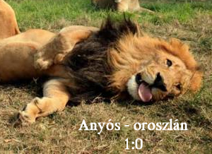 oroszlán
