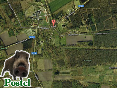 belga vad�szat