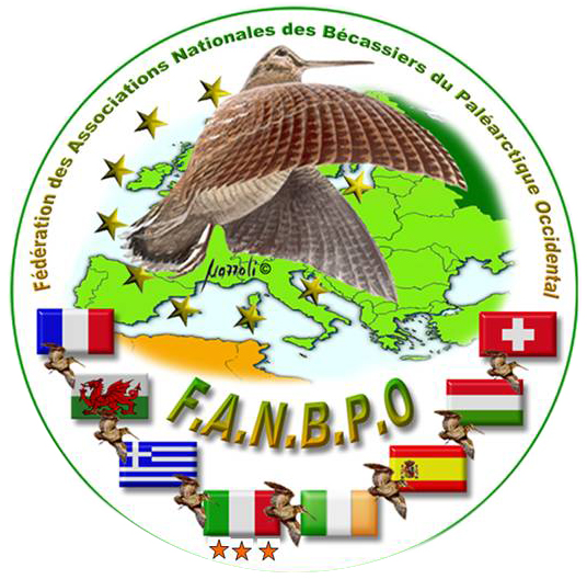Szalonka konferencia �s szemin�rium