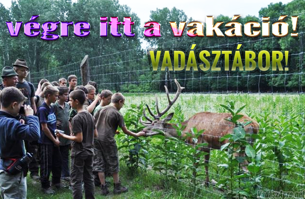 Vad�szt�borok