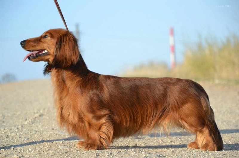 tacsk�