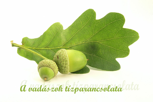 vad�szat