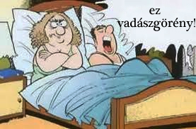 vicces képek