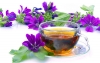Erdei m�lyva a k�h�g�scsillap�t�