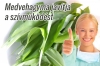 Medvehagyma az eg�sz�g�rt