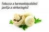Erdei csiperke a D vitamin bomba