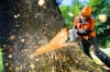 V�rtesi Erd�kben d�b�r�g a k�zmunka