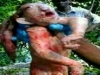 �j �llatfajra bukkantak Nam�bi�ban