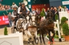 Vil�gkupa versenyek Lipcs�ben
