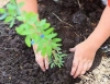 EU-t�mogat�s a Nemzeti Erd�telep�t�si Programra