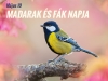 Madarak �s F�k Napja - m�jus 10!