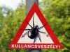A kullancs- �s sz�nyogvesz�lyr�l