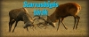 Szarvasb�g�s-t�r�k a Pilisben