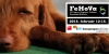 Megny�lt Budapesten a 22. FeHoVa Nemzetk�zi Ki�ll�t�s