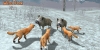 J�t�kaj�nl� - Wild Fox Sim 3D