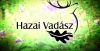 HAZAI VAD�SZ TV Magazin – 2015. m�rcius 1-i ad�s 