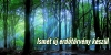 Mi�rt kell �j erd�t�rv�ny?