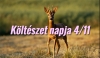 K�lt�szet Napja 4/11