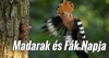 Madarak �s F�k Napja a J�kai-kertben