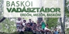 Bask�i Vad�szt�bor