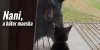 Nani, a b�tor macska