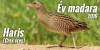 A haris lesz az �v madara 2016-ban