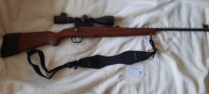 22 Long Rifle 22 Long Rifle