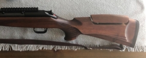Blaser R93 30-06