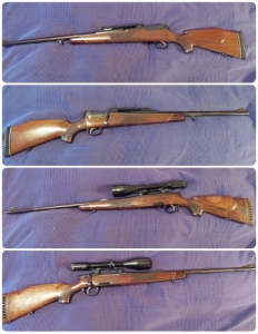 9,3x62 / 64 - 45-70 - 300WBY