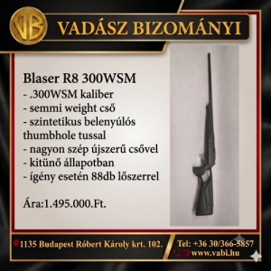 Blaser R8 300WSM