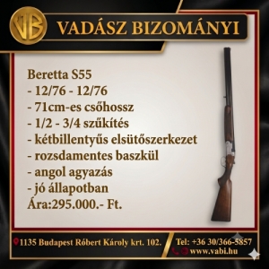 Beretta S55