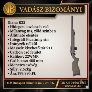 Diana R22