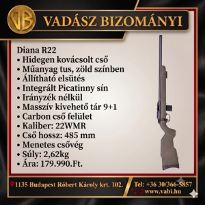 Diana R22