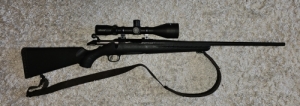 Ruger American